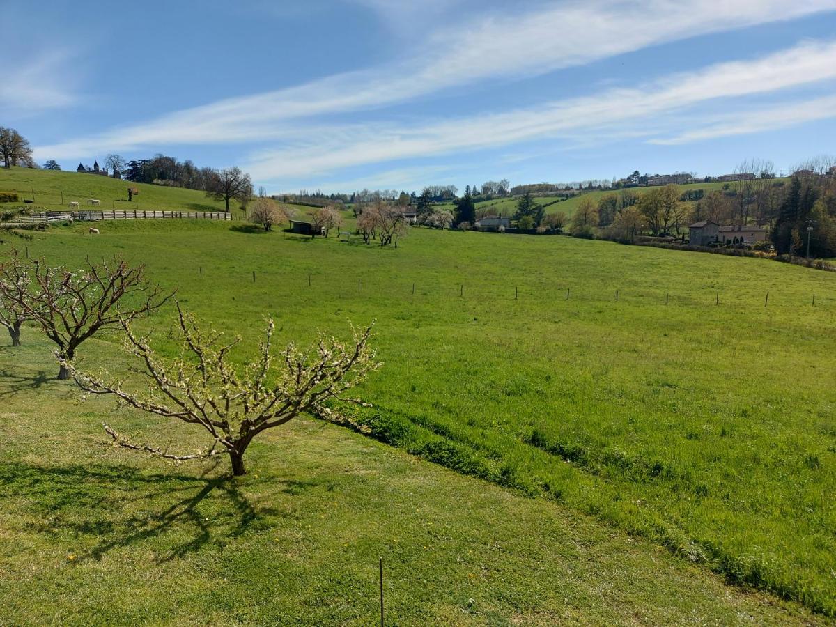Gite Stone & Spa Chasselay Екстериор снимка