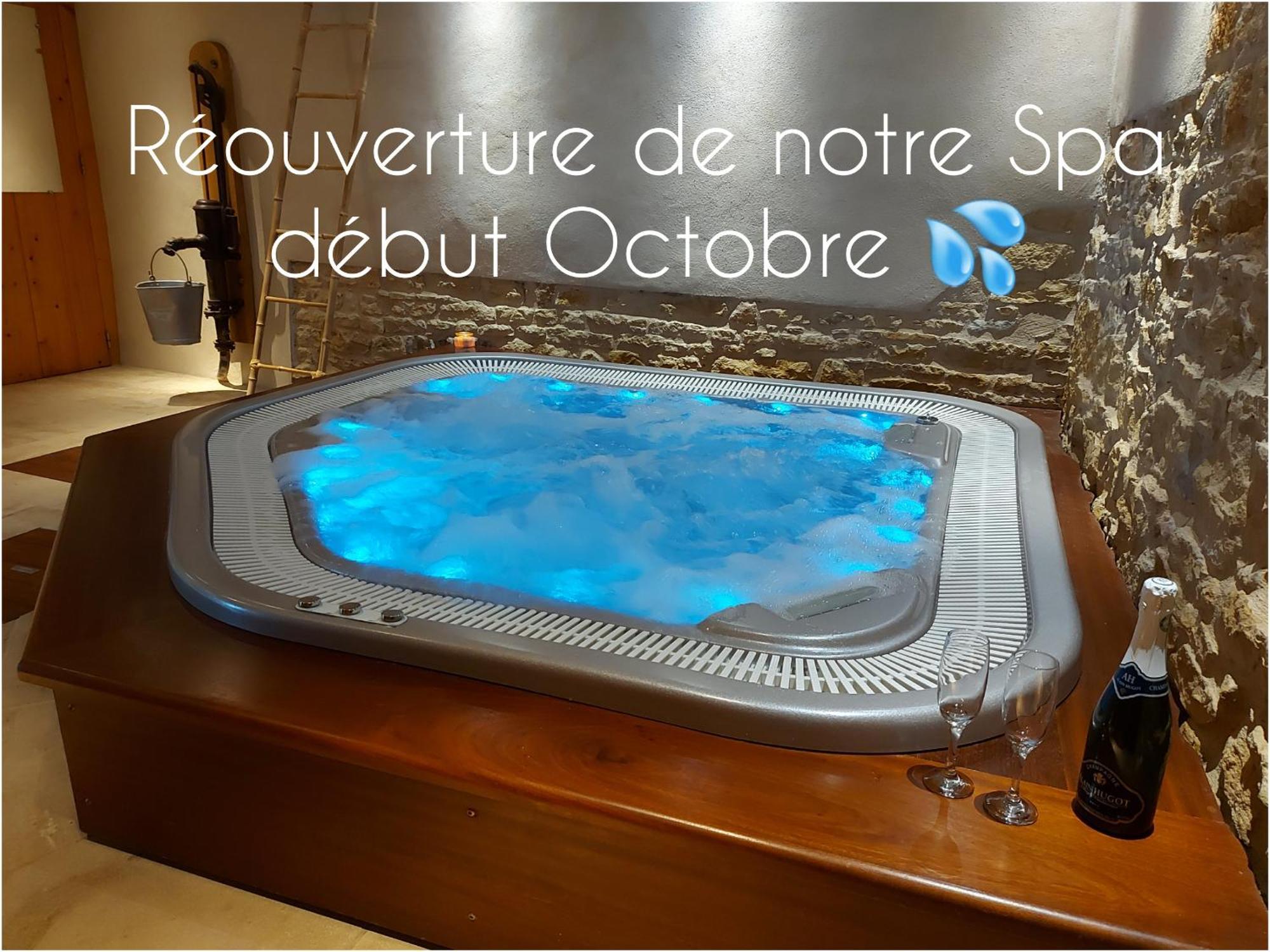 Gite Stone & Spa Chasselay Екстериор снимка